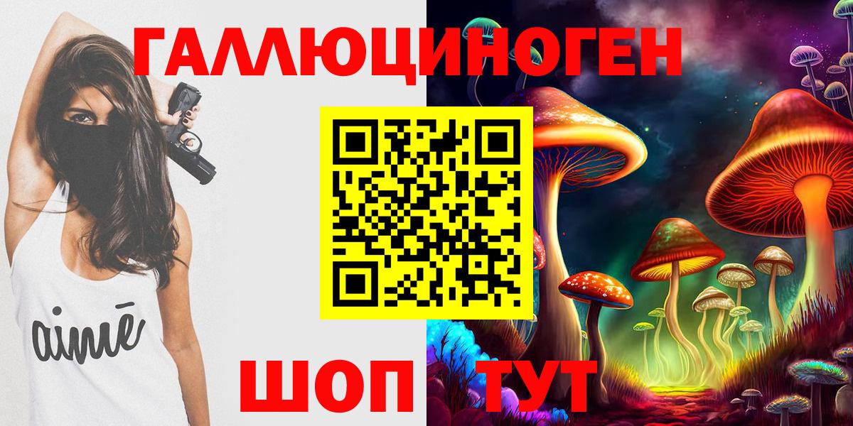 Изобильный  наркошоп  Вход с VPN  Галлюциногенные грибы Psilocybine cubensis 